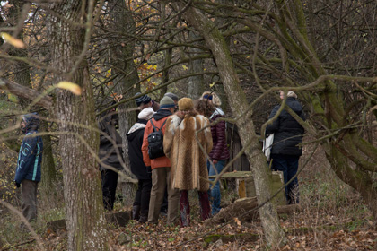 Grinzinger Leopoldifest 2013 Leopoldsberg