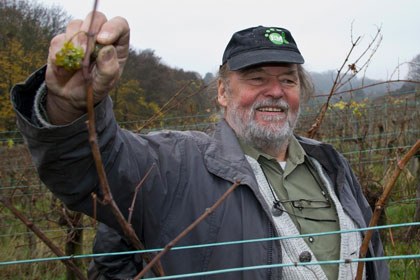 Grinzinger Leopoldifest 2013 Weingartenwanderung Günter Gsöls