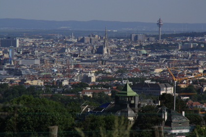 Weinblütenwanderung