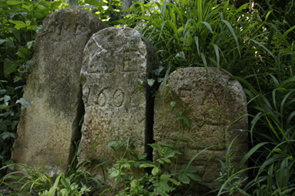 Weinblütenwanderung